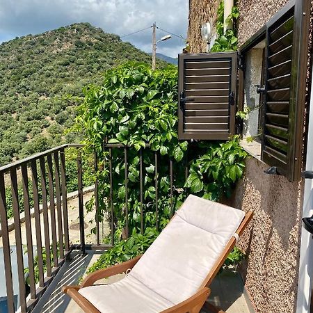 Studio Terrasse Vue Mer Clim Wifi Parking Partinello Exterior foto
